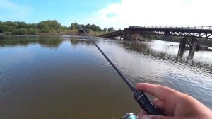 TAIFUN Torzite Graphene 732UL 1-15. Ловля Амурского Язя. 15.08.2021