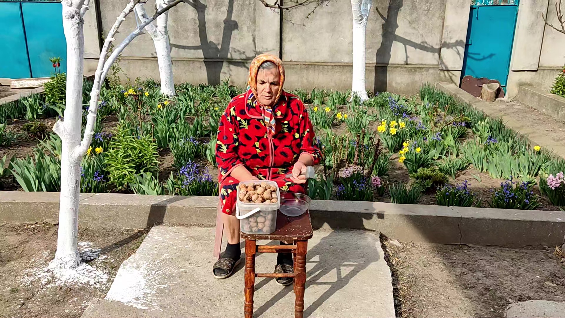 Посев кукурузы. Бабушка готовит халву из грецких орехов. Сельская жизнь смотреть онлайн