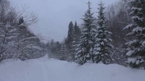 Поход д.Троицк - водозабор Извер (14 км по зимней техн. дороге).