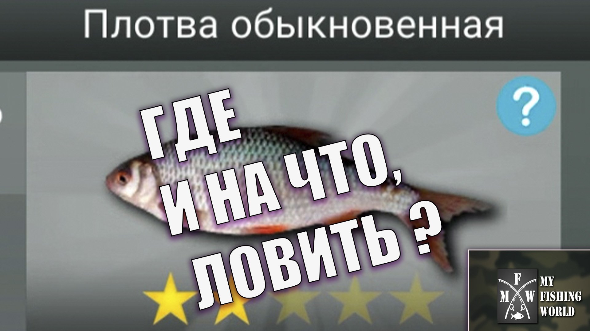 ПЛОТВА ОБЫКНОВЕННАЯ. ГДЕ И НА ЧТО ЛОВИТЬ? My Fishing World