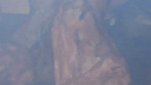 моя коптильня из старого холодильника