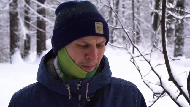 Многофункциональная складная лопата