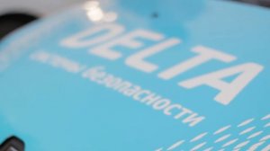 Дельта система безопасности