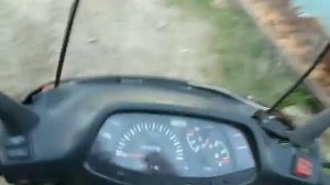 Хонда фривей 250см3 водянка