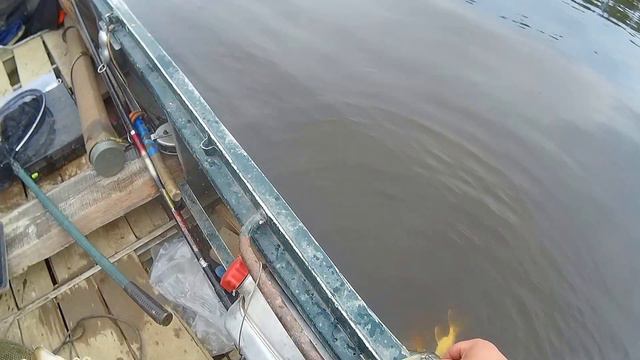 Ловля щуки на Лозьве 26-29 июля 2016 год смотреть онлайн