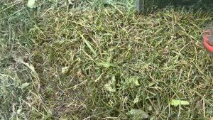 Самая лучшая катушка для бензокосы — триммера