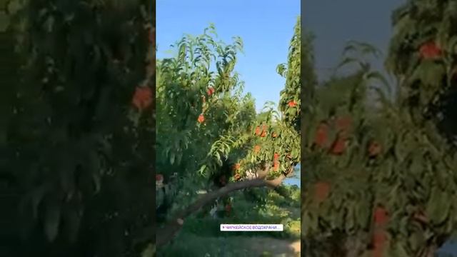 День 1 из 2-х дневного Релакс тура. Самые Красивые места Дагестана и не только👍🏻
