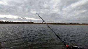 Ловля щуки с берега на силикон осенью