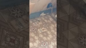 Почему не срабатывает мышеловка?