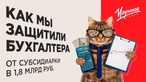 Как мы защитили бухгалтера от субсидиарки в 1,8 млрд руб