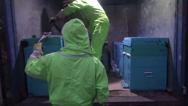 Вывозим Пасеку На Кочевку