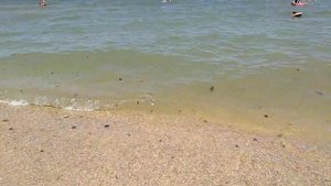 Отдыхаем на Азовском море 🌊 лучшее море в станице Голубицкая