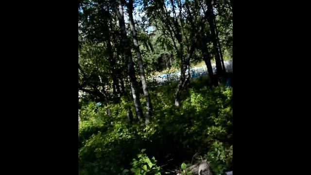 Кулигская Преображенская Церковь
