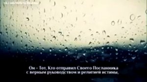 Валид Абу Мухаммад _ Прекрасное чтение _ Сура 61«