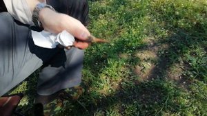 Нож Вятич Т сталь Аус 8 от Нокс строгание