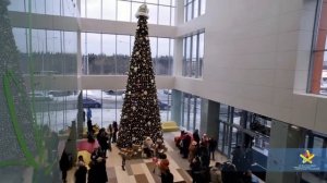 Лотос Плаза г. Петрозаводск 2014