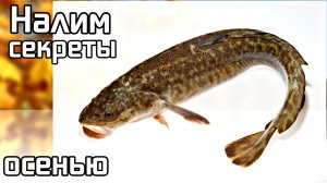 Секреты ловли налима поздней осенью в октябре ноябре! Как ловить налима во второй половине осени?
