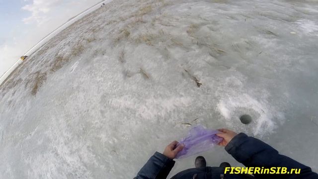 Озеро Чаны. День Второй. смотреть онлайн