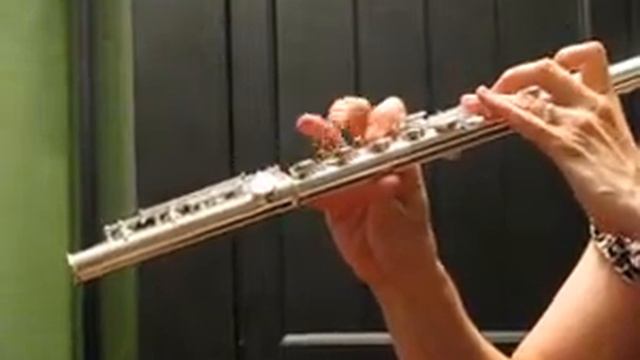 Di Zhao 700 Professional Flute Response Test смотреть онлайн