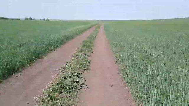 Велопоездка на озеро (УЛЮКОЛЬ) смотреть онлайн