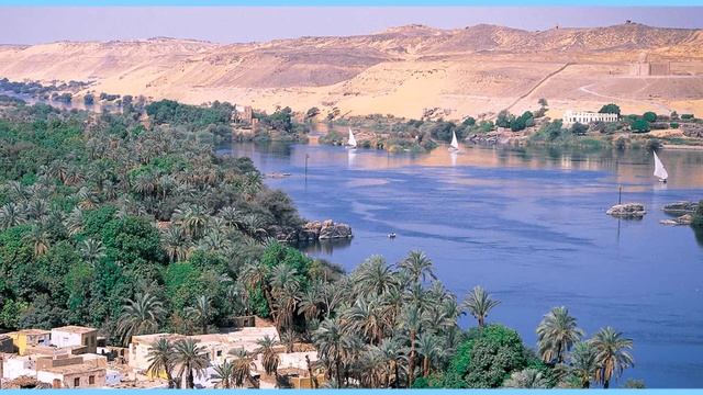 Наталия Шоева, воспитатель Школы № 1748 «Вертикаль». Африка смотреть онлайн