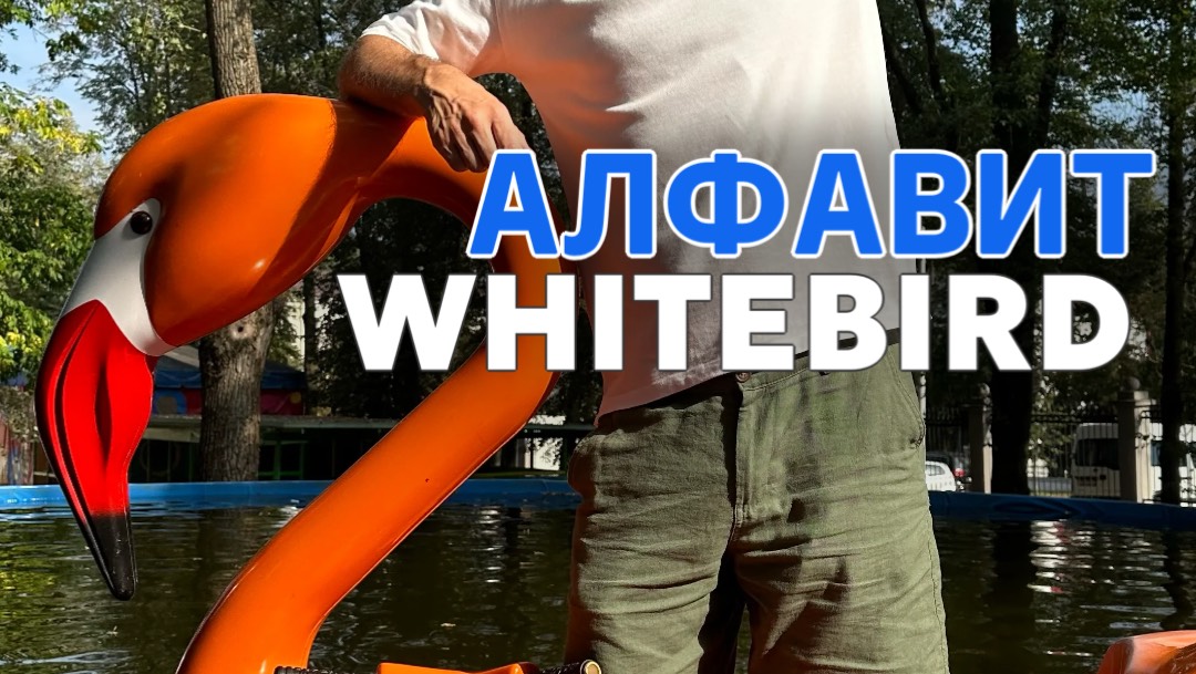 Буква за буквой раскрываем все секреты и преимущества работы с WhiteBird. смотреть онлайн