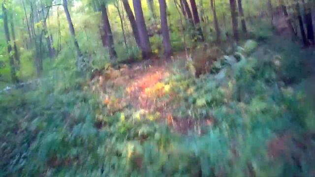 Пенза, Сурское, Эндуро смотреть онлайн