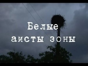 Чернобыльские джунгли. 20 лет без человека... Часть 6 [Белые аисты зоны]