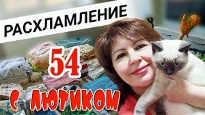 РАСХЛАМЛЕНИЕ ПЕРЕД РЕМОНТОМ. ВЛОГ.