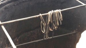 Коптильня холодного копчения своими руками.