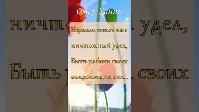Рубаи 1 Омар Хайям #омархайям #рубаи #стихи #поэзия #мудрость #философия смотреть онлайн
