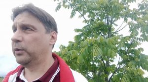 Орех Зибольда в Тверской области