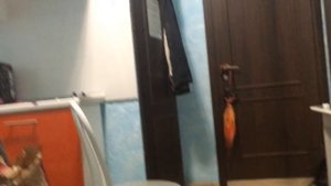 МОЙ ЛЮБОВНИК