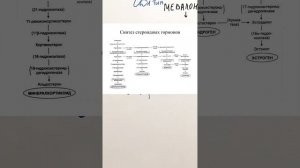 Синтез холестерина. Как вырабатывается холестерин. Как действуют статины.