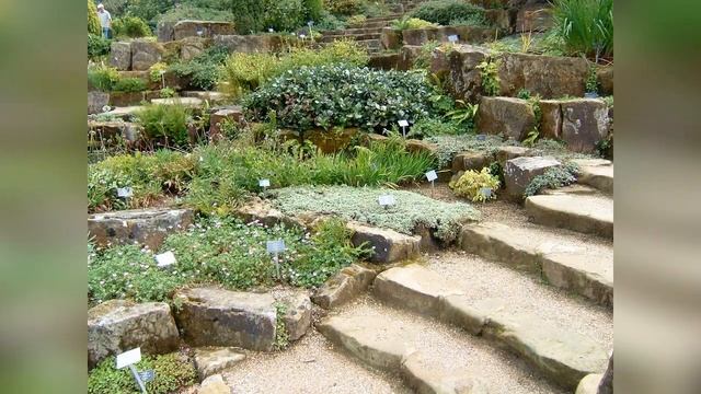 Варианты садовых лестниц смотреть онлайн