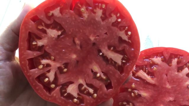 Лучшие крупноплодные томаты сезон 2022. Топ-10 урожайных сортов томатов смотреть онлайн