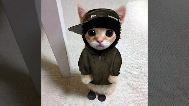 [FREE] Yeat Type Beat 2024 - "Mundem" смотреть онлайн