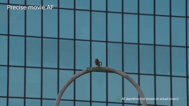 Sony A6300 vs A6000: Focus Speed Comparison смотреть онлайн