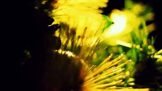 СКАЗКА РЯДОМ смотреть онлайн