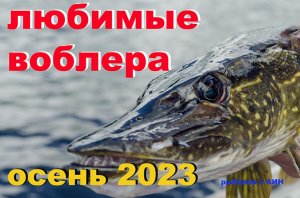 На ЧТО ЛУЧШЕ Ловить ЩУКУ ОСЕНЬЮ?! 2023 год.