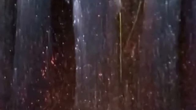 Пение Ангелов на Святой Горе Афон смотреть онлайн