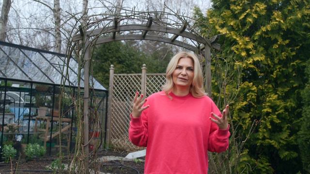 HOW TO PRUNE CLIMBING ROSES смотреть онлайн