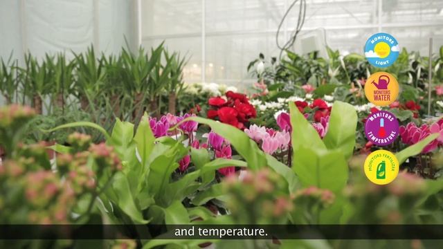 Introducing Parrot Flower Power