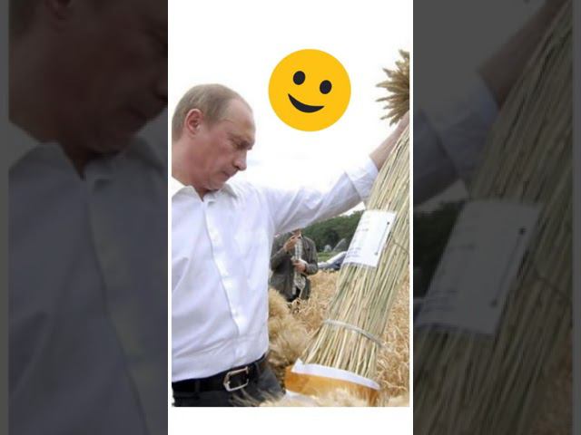 Зерновая сделка #хлеб всему голова #путин #колобок #русские сказки #китай #ассоциации #экономика