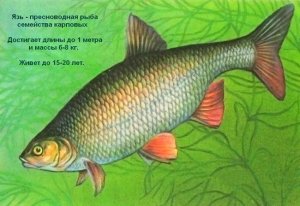 024,Квесты 1.mp4