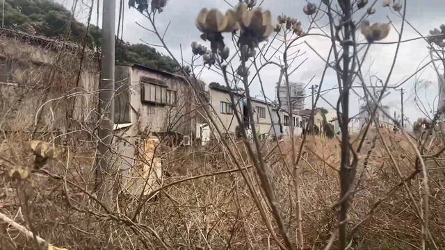 06.03.2023 года.Заброшенный жд переезд на острове Огимачи.