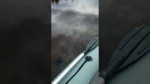 Сплав по днепру Смоленск 25 июня 2020 г.