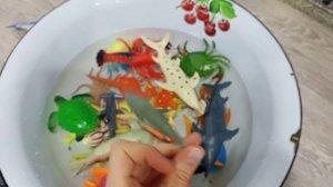 Обитатели морей и океанов. Развивающие видео для малышей