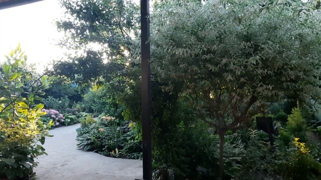 МАГНОЛИЯ ГРАНДИФЛОРА,РОЗА,ХОСТА,БЕТЕСКЛЕТ,ФОТИНИЯ,ЛАВР,НАНДИНА,ЛАВРОВИШНЯ,ОСМАНТУС!7 ИЮНЯ 2022 Г.?? смотреть онлайн