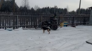 Чистка снега минитрактором
